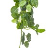 Vickerman Green Artificial Fittonia Bush - 2 of 3