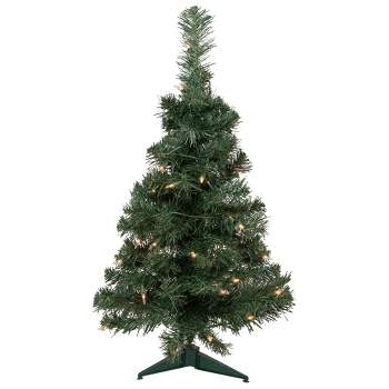 Northlight 2' Pre-Lit Slim Blackwater Fir Artificial Christmas Tree - Clear Lights