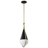 Nuvo Lighting Admiral 1 - Light Pendant in  Matte Black/Natural Brass - 4 of 4