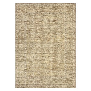 Vintage Distressed Floral Print Living Room Bedroom Rugs, Retro Accent Oriental Floor Carpet for Dining Room Home Office - 1 of 4