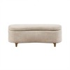 Sapphtopaz Storage Bench Storage Ottoman Storage Organizer Padded Seat Cushion Ottoman with Storage for Living Room, Bedroom - 3 of 4