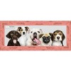 PosterPalooza | Panoramic Shabby Chic Pink Picture Frame - UV Acrylic, Foam Board Backing, Hanging Hardware - 3 of 4