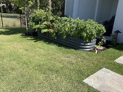 Guest review image 1 of 2, zoom in