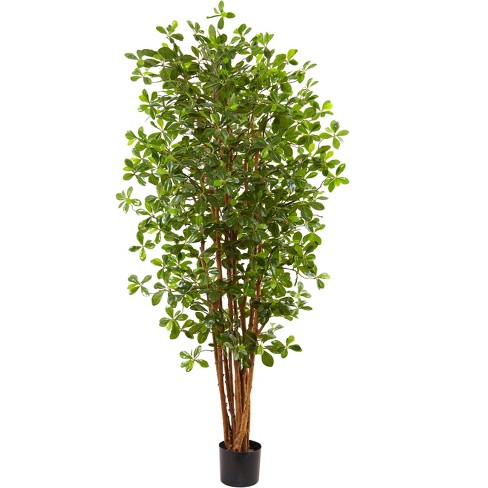 Nearly Natural 6-ft Black Olive Silk Tree - image 1 of 4