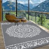 Outdoor Rugs Modern Plastic Straw Rugs, Waterproof Patio Floral Camping Carpet, Lightweight Reversible Floor Mats for Patio RV Porch Deck Balcony - 2 of 4