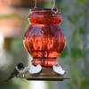Nature's Way Bird Products Ruby Visions Antique Glass Hummingbird Feeder 25oz - 3 of 4