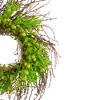 Northlight 20-Inch Green and Yellow Flower Buds, Leaves and Twigs Artificial Floral Wreath - 3 of 4