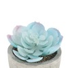 Unique Bargains Artificial Plants Mini Frost Lotus in Pulp Plastic 2.76"x2.76"x2.95" 1Pcs - 4 of 4