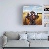 Canvas Wall Art - Lucia Heffernan 'Bird Dog' Wall Art for Living Room, Bedroom, or Office Décor by Trademark Fine Art - 14 x 14 Inches - 3 of 4