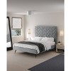 Manhattan Comfort Crosby Modern Velvet Upholstered Bed - 2 of 4