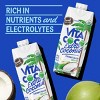 Vita Coco Organic Coconut Water, Pressed, More "Coconutty" Flavor, Natural Electrolytes, Vital Nutrients, 16.9 Fl Oz (Pack of 12) - 3 of 4