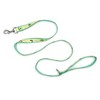 The Worthy Dog Lemons Pet Leash - 3 of 4