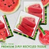 Creative Converting Slice of Summer Paper Napkins 48ct - 2 of 3