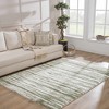Hauteloom Lucus Plush Rug - 3 of 4