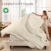 260 Thread Count Organic Cotton Percale Bed Sheet Set by Bare Home - 2 of 4