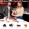 DIY Gifts DIY Hot Sauce Gift Set, Make Your Own Hot Sauce Kit - Includes Ghost Pepper, Chipotle, Habanero & Ancho Pasilla - 3 of 4