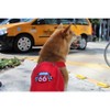 Parisian Pet 'Route 66 Jumpsuit' for Dogs and Cats, Fashionable Pet Jumpsuit for Parties, Red - 2 of 2