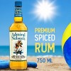 Admiral Nelson's Spiced Rum - 750ml Bottle - 4 of 4