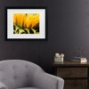 Trademark Fine Art - Mick Agterberg Close Up Details Of A Helianthus Matted Framed Art - 2 of 4