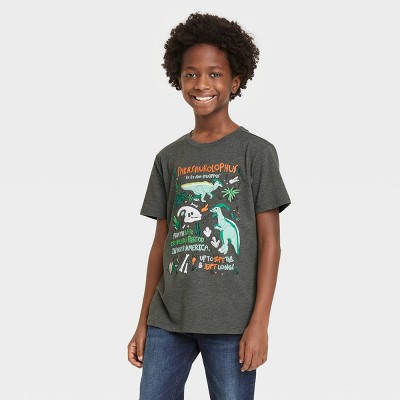 New Kid Baby Boys Dinosaur Pullover Long Sleeve Tops T-shirt Sweatshirt Age 3-8T 