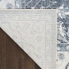 Nourison Astra Machine Washable Vintage Bordered Indoor Rug - 4 of 4