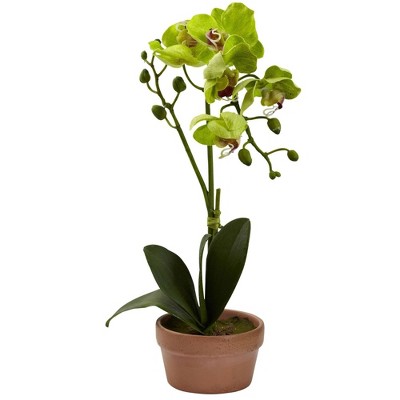 Set of 4 Multicolor Faux Orchid Plants in Clay Pots