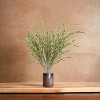 Floral Home 21" Spiral Grass Bush - 12-Piece - 2 of 4