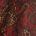 deep burgundy paisley