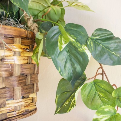 Lifelike Pothos Hanging Basket with Silk Leaves