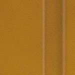 tampa bay buccaneers