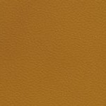 tampa bay buccaneers