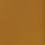 tampa bay buccaneers