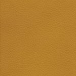 tampa bay buccaneers