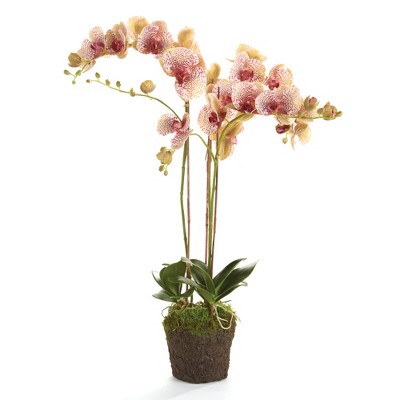 Plum & Post Phalaenopsis Orchid Faux (Fake) Drop-In 32"