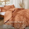 Tufted Boho Comforter Set Bed Set GentleSoft Farmhouse Shabby Chic Embroidery Bedding - 3 of 4