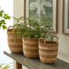 Plum & Post Seagrass & Jute Round Baskets With Handles, Set Of 3 - 2 of 4