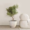 LuxenHome Ivory White Bell Round Recyled Plastic Planter Off-White - 3 of 4