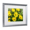 Trademark Fine Art - Harri Aho yellow field Matted Framed Art - 3 of 4