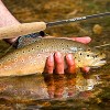 Leisure Sports Fly Fishing Starter Kit - 18Pcs, Black - 2 of 4