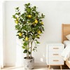 Artificial Lemon Tree, 5ft Tall Floor Faux Lemon Plastic Plant in White Pot, Fake Lemon Fruit Silk Tree for Indoor Home Decor Office Living Room - 3 of 4