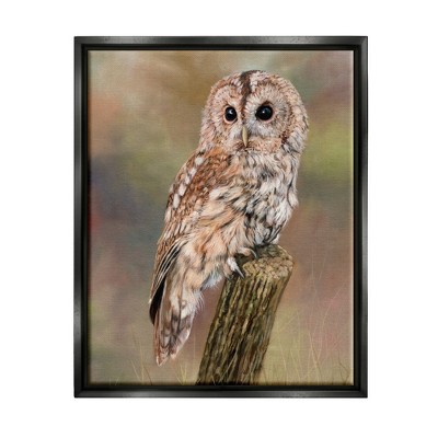 Stupell Industries Brown Tawny Owl Perched Framed Canvas