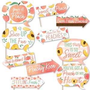 Big Dot of Happiness Funny Sweet as a Peach - Fruit Themed Baby Shower or Birthday Party Photo Booth Props Kit - 10 Piece - 1 of 4