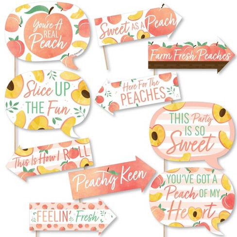Big Dot Of Happiness Funny Sweet As A Peach - Fruit Themed Baby Shower Or  Birthday Party Photo Booth Props Kit - 10 Piece : Target