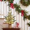 2ft Pre-Lit Tabletop Christmas Tree with 50 LED Lights - 24 Inch Artificial Mini Xmas Tree with Pine Cones for Office Desk, Home Decor - 2 of 4