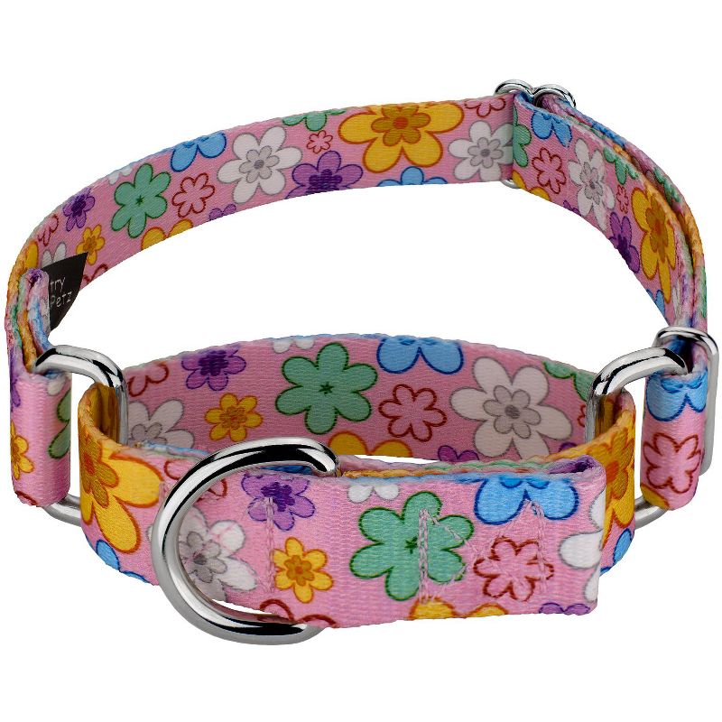 Country Brook Petz May Flowers Martingale Dog Collar, 1 of 9