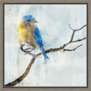 Amanti Art Little Blue Bird I by Ken Roko Canvas Wall Art Print Framed 16 x 16-in. - 1 of 4