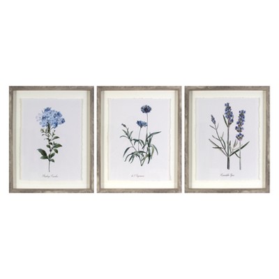 (Set of 3) 16&#34;x20&#34; Framed Vintage Botanicals Decorative Wall Art Natural/Blue - Threshold&#8482;