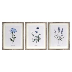 Set Of 3 16 X20 Framed Vintage Botanicals Decorative Wall Art Threshold Target