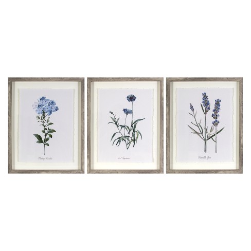  Vintage Boho Farmhouse Wall Art - Nature Botanical