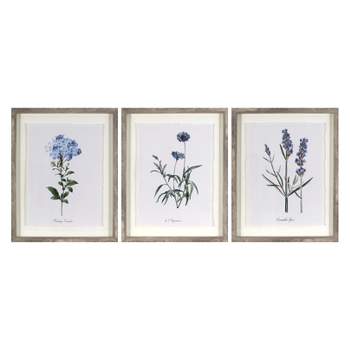(Set of 3) 16"x20" Framed Vintage Botanicals Decorative Wall Art Natural/Blue - Threshold™